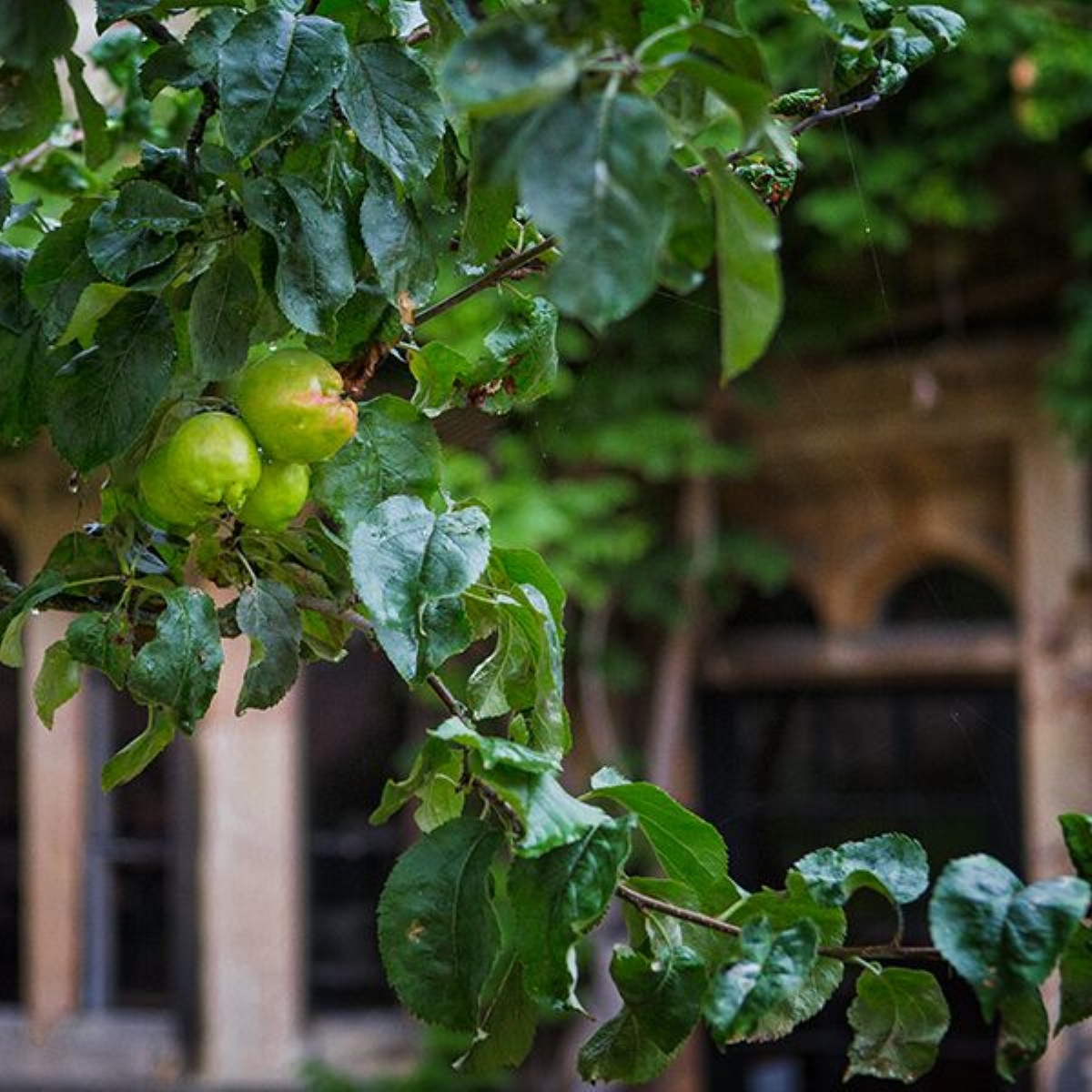 The King's School Grantham Job Vacancies